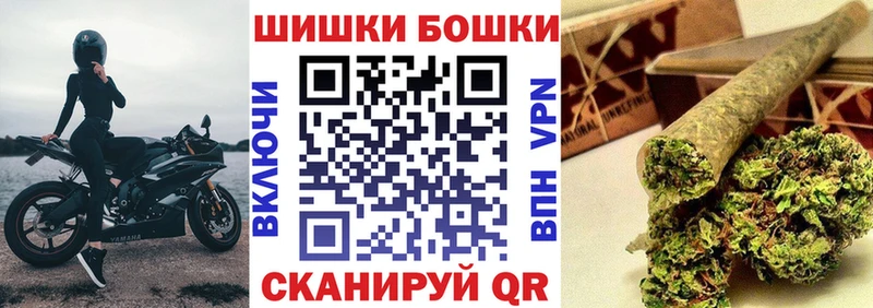 Купить где  Конаково  Каннабис Amnesia 